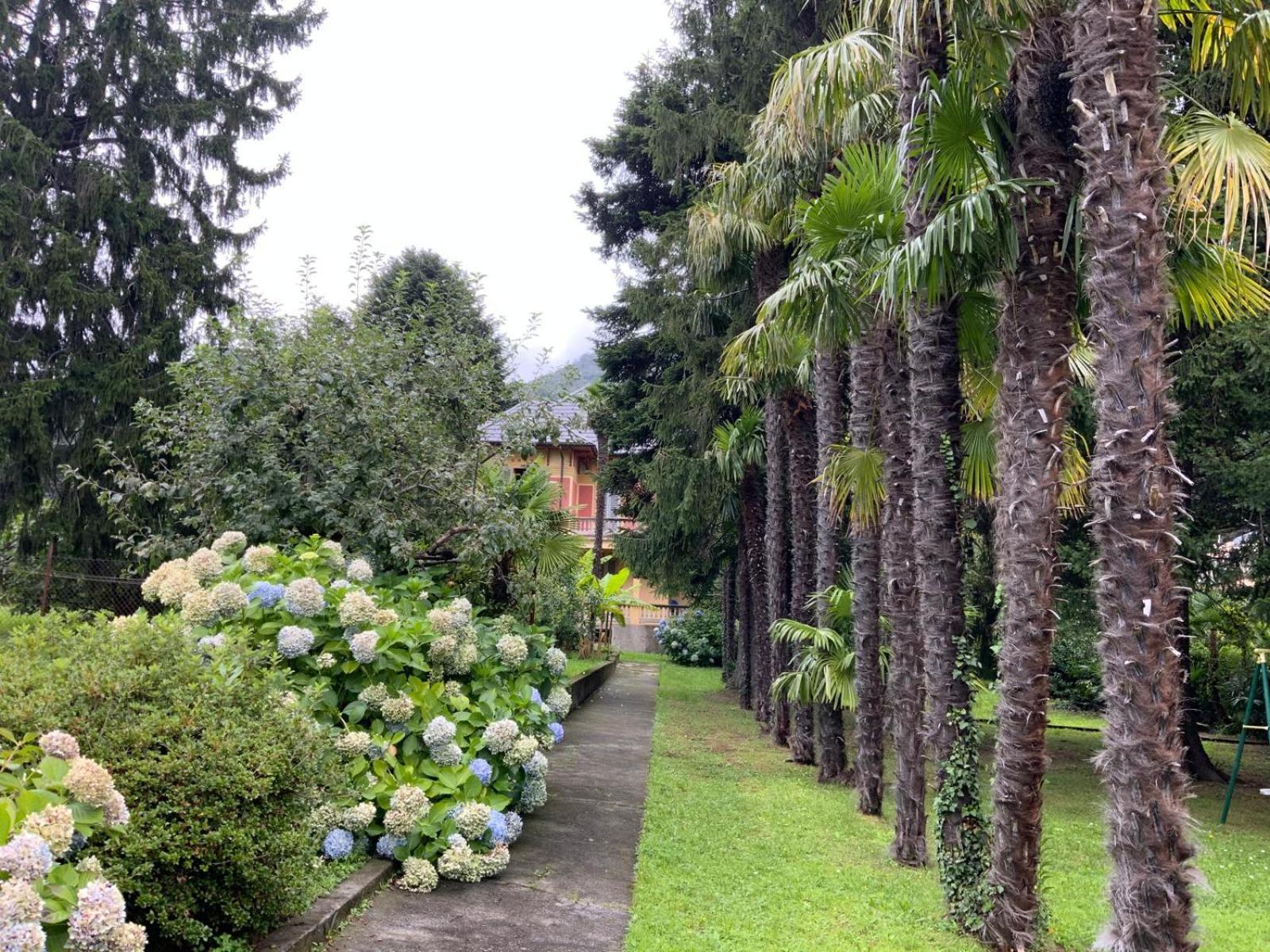 Villa Del Castanar Maccagno 外观 照片