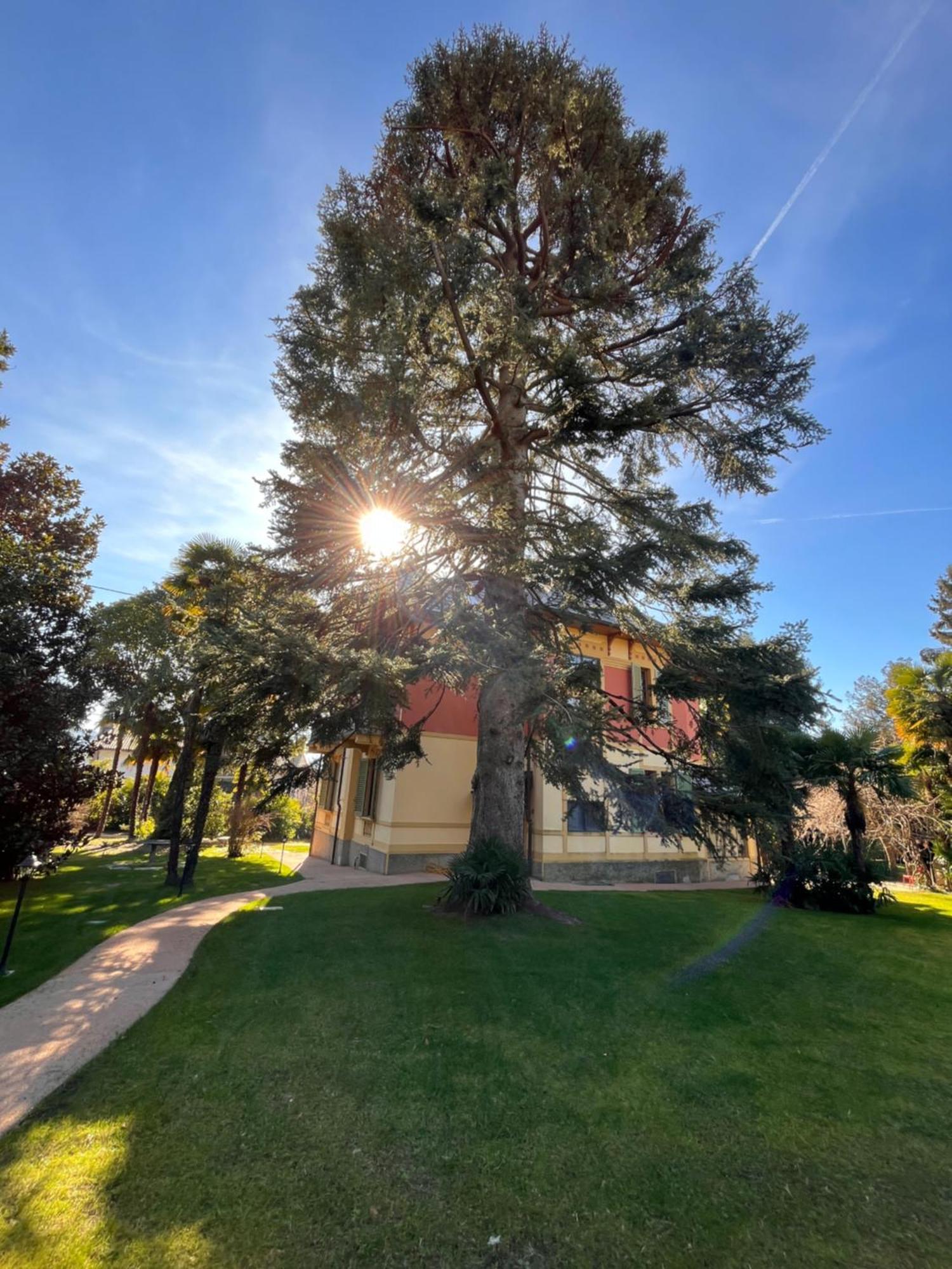 Villa Del Castanar Maccagno 外观 照片